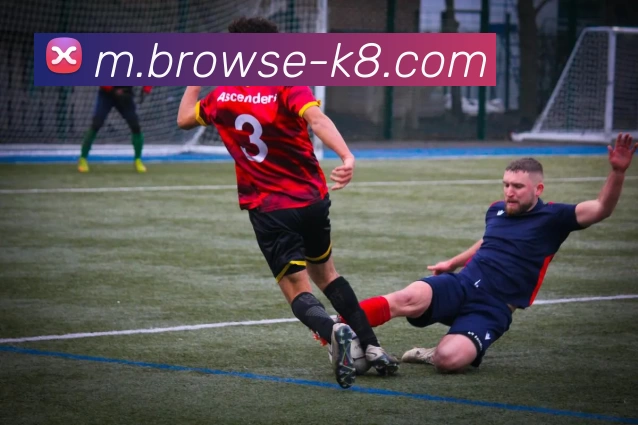 凯发娱乐平台生态图